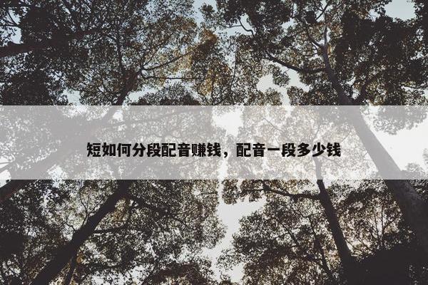 短如何分段配音赚钱,配音一段多少钱