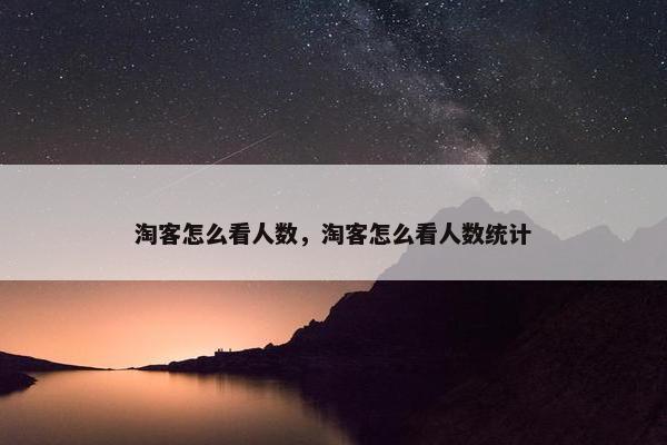 淘客怎么看人数,淘客怎么看人数统计