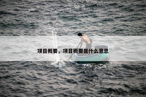 项目概要,项目概要是什么意思 项目概要,项目概要是什么意思