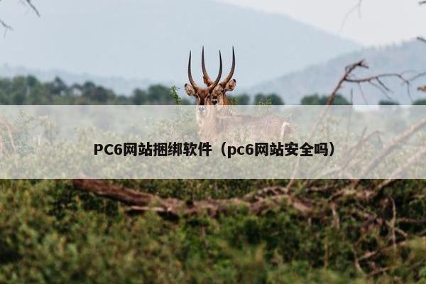 PC6网站捆绑软件(pc6网站安全吗)