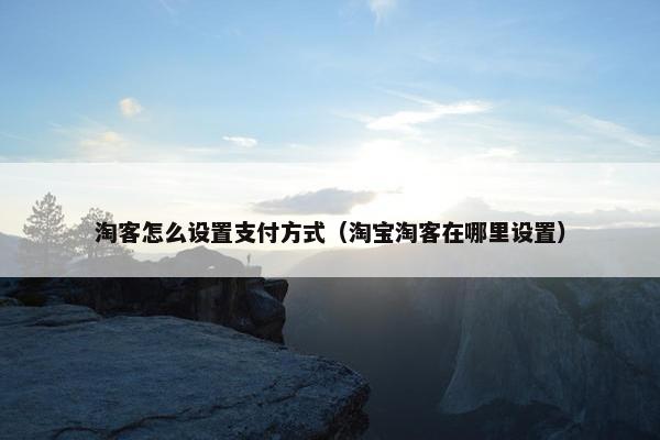 淘客怎么设置支付方式（淘宝淘客在哪里设置）