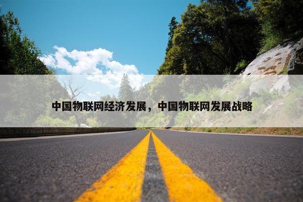 中国物联网经济发展,中国物联网发展战略