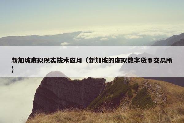 新加坡虚拟现实技术应用(新加坡的虚拟数字货币交易所) 新加坡虚拟现实技术应用(新加坡的虚拟数字货币交易所)