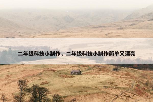 二年级科技小制作，二年级科技小制作简单又漂亮