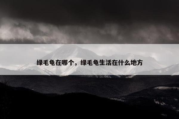 绿毛龟在哪个,绿毛龟生活在什么地方 绿毛龟在哪个,绿毛龟生活在什么地方