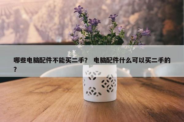 哪些电脑配件不能买二手? 电脑配件什么可以买二手的? 哪些电脑配件不能买二手? 电脑配件什么可以买二手的?