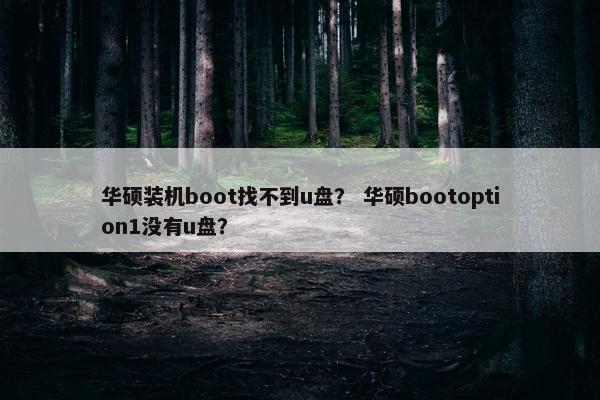 华硕装机boot找不到u盘? 华硕bootoption1没有u盘?