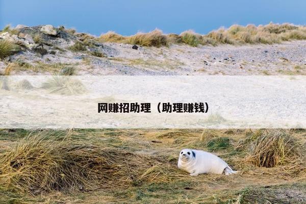 网赚招助理(助理赚钱) 网赚招助理(助理赚钱)