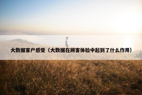 大数据客户感受(大数据在顾客体验中起到了什么作用)