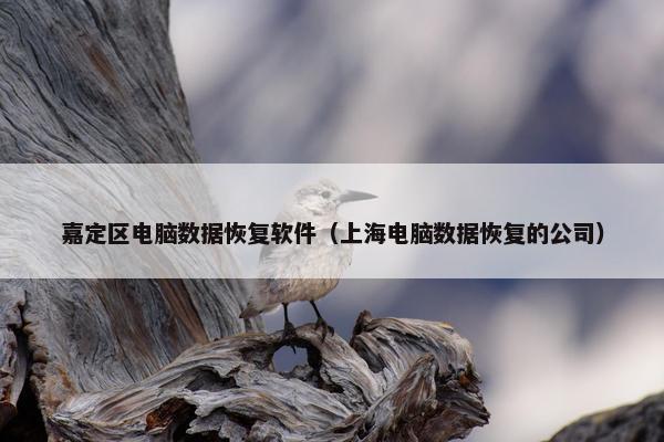 嘉定区电脑数据恢复软件(上海电脑数据恢复的公司) 嘉定区电脑数据恢复软件(上海电脑数据恢复的公司)