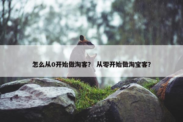 怎么从0开始做淘客? 从零开始做淘宝客? 怎么从0开始做淘客? 从零开始做淘宝客?