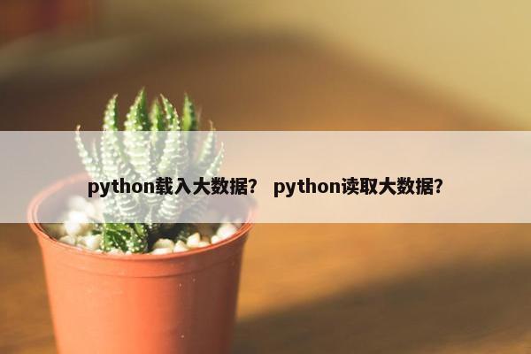 python载入大数据? python读取大数据? python载入大数据? python读取大数据?