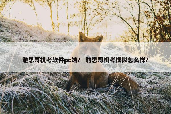 雅思哥机考软件pc端？ 雅思哥机考模拟怎么样？