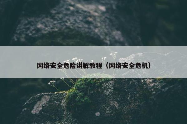 网络安全危险讲解教程(网络安全危机)