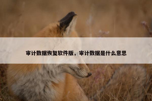 审计数据恢复软件版，审计数据是什么意思