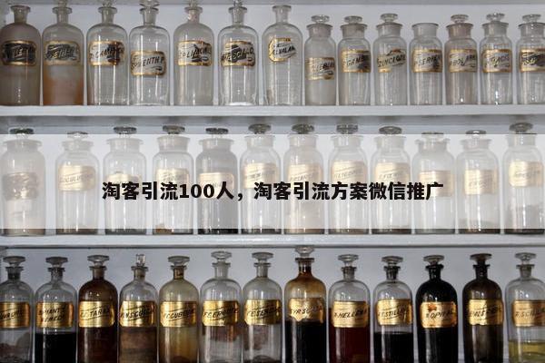 淘客引流100人，淘客引流方案微信推广