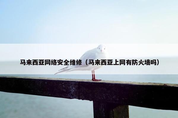 马来西亚网络安全维修(马来西亚上网有防火墙吗)