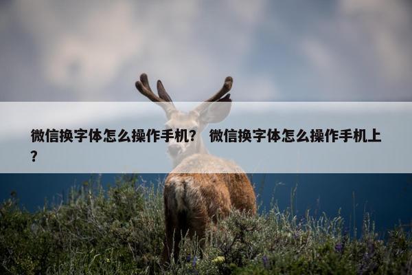 微信换字体怎么操作手机? 微信换字体怎么操作手机上?