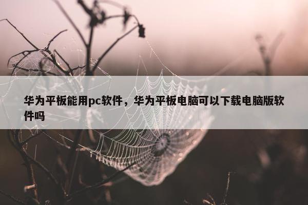 华为平板能用pc软件，华为平板电脑可以下载电脑版软件吗