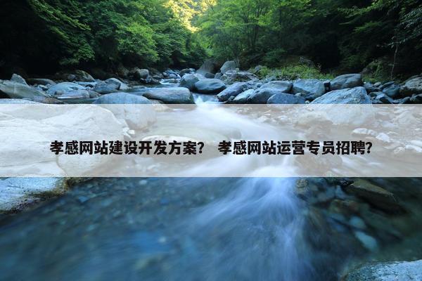 孝感网站建设开发方案？ 孝感网站运营专员招聘？