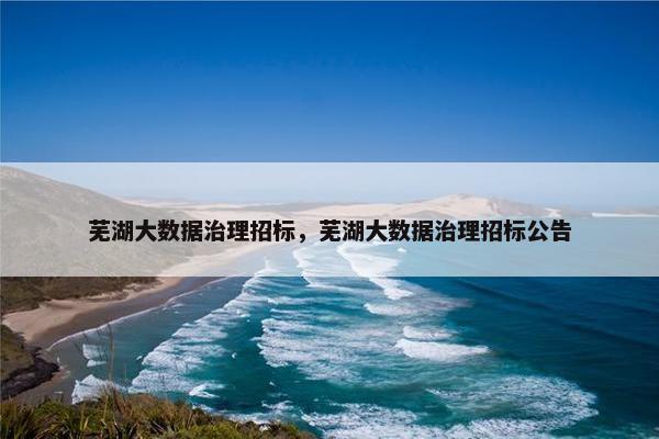 芜湖大数据治理招标,芜湖大数据治理招标公告 芜湖大数据治理招标,芜湖大数据治理招标公告