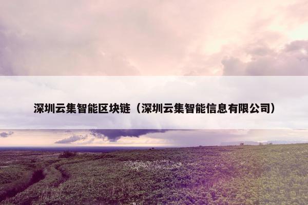 深圳云集智能区块链（深圳云集智能信息有限公司）