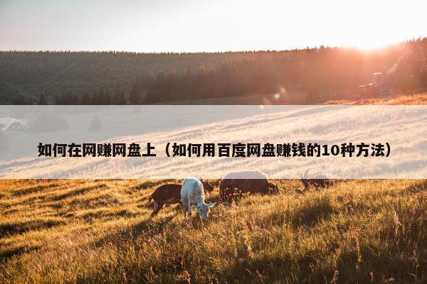 如何在网赚网盘上（如何用百度网盘赚钱的10种方法）