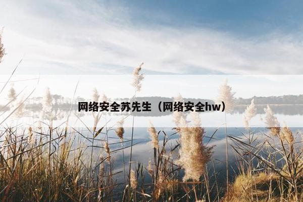 网络安全苏先生(网络安全hw) 网络安全苏先生(网络安全hw)