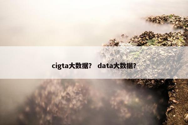 cigta大数据？ data大数据？