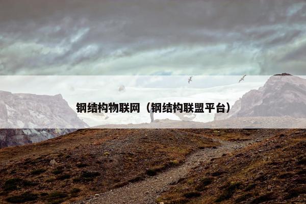 钢结构物联网（钢结构联盟平台）