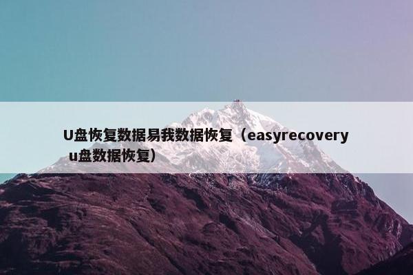 U盘恢复数据易我数据恢复（easyrecovery u盘数据恢复）