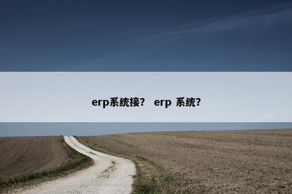 erp系统接？ erp 系统？