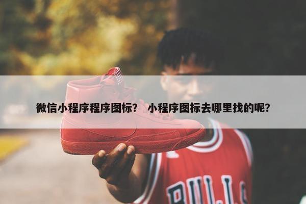 微信小程序程序图标? 小程序图标去哪里找的呢?