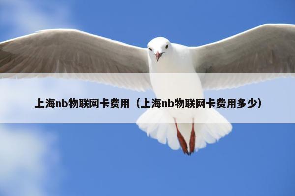 上海nb物联网卡费用（上海nb物联网卡费用多少）