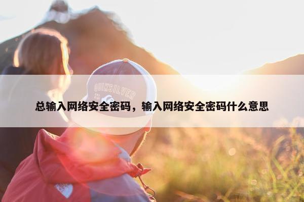 总输入网络安全密码,输入网络安全密码什么意思