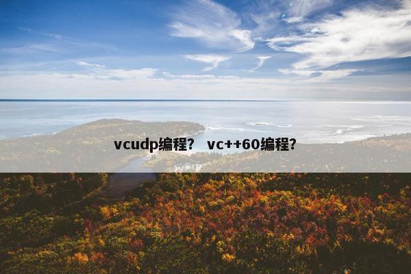 vcudp编程？ vc++60编程？