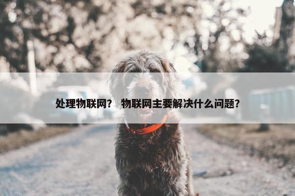 处理物联网？ 物联网主要解决什么问题？