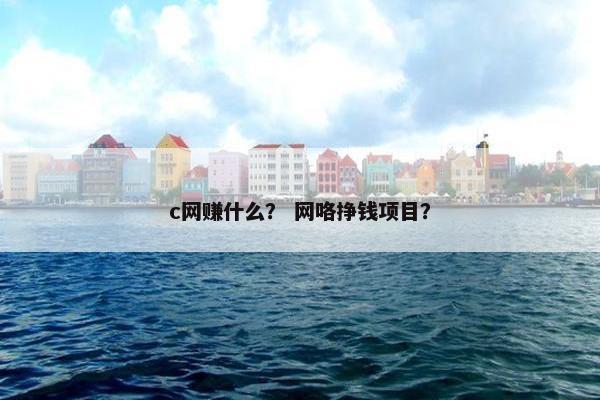 c网赚什么？ 网咯挣钱项目？