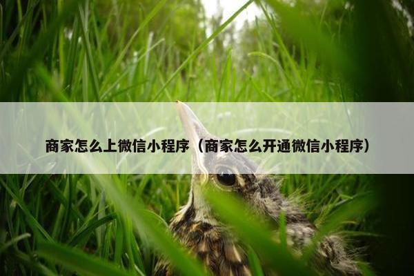 商家怎么上微信小程序（商家怎么开通微信小程序）