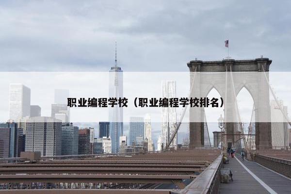 职业编程学校（职业编程学校排名）