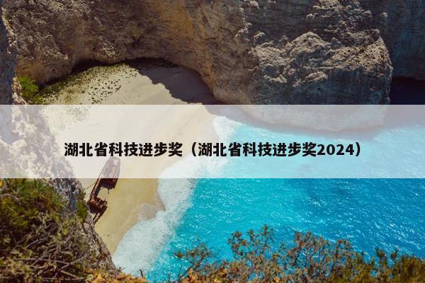湖北省科技进步奖（湖北省科技进步奖2024）