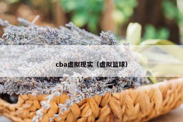 cba虚拟现实（虚拟篮球）