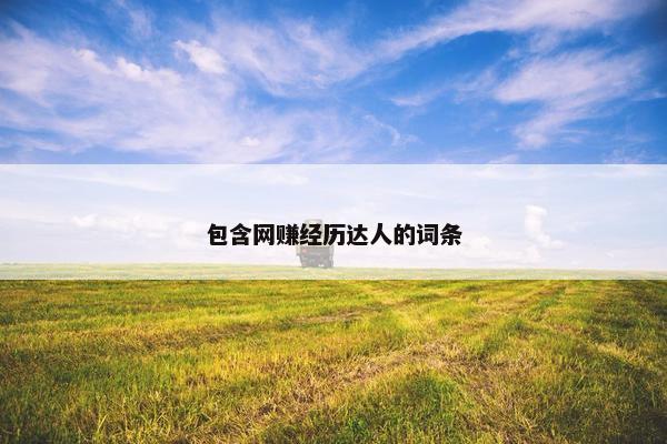 包含网赚经历达人的词条