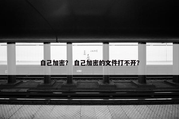 自己加密？ 自己加密的文件打不开？