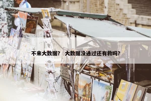 不来大数据？ 大数据没通过还有救吗？