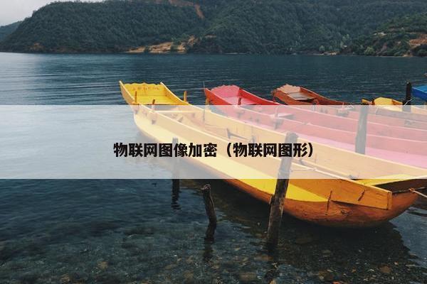 物联网图像加密（物联网图形）