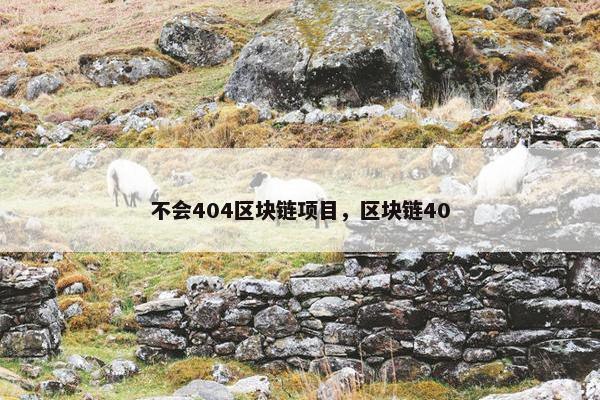 不会404区块链项目，区块链40