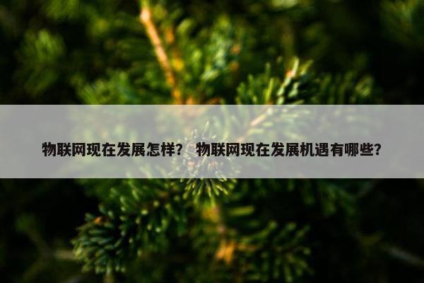 物联网现在发展怎样？ 物联网现在发展机遇有哪些？