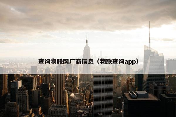 查询物联网厂商信息(物联查询app)