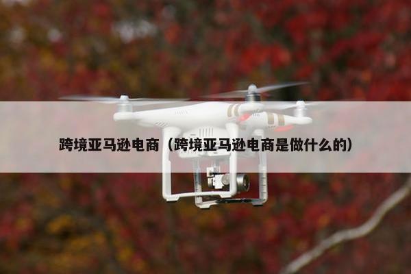 跨境亚马逊电商（跨境亚马逊电商是做什么的）